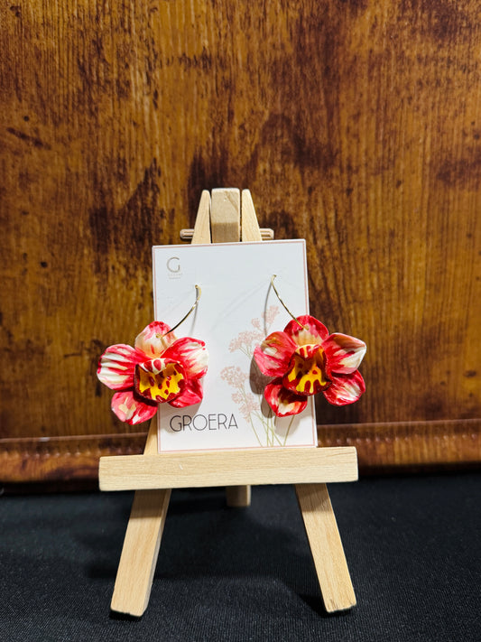 Flame Kiss Orchid