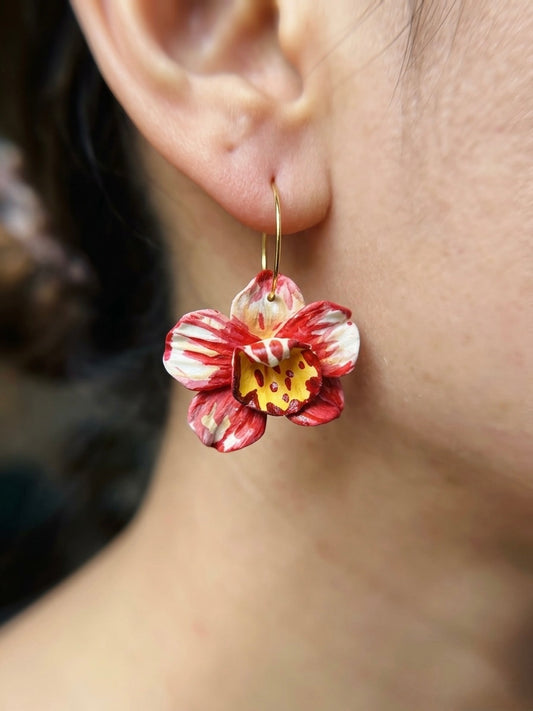 Flame Kiss Orchid